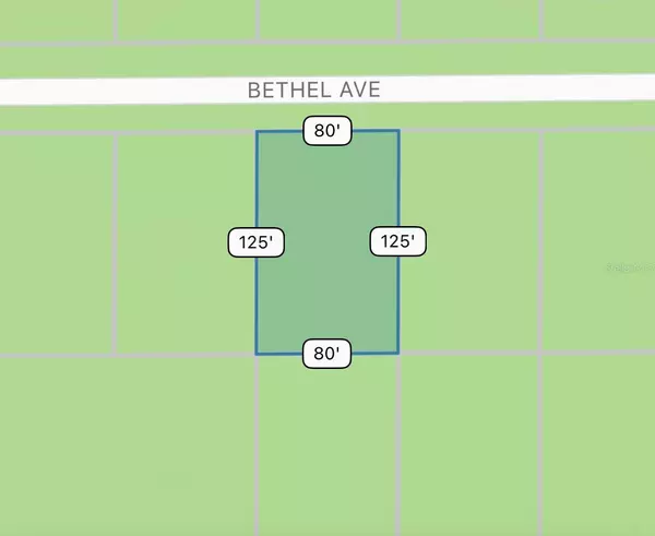 14233 BETHEL AVE, Port Charlotte, FL 33953