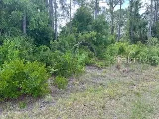 North Port, FL 34291,BECKWITH AVE