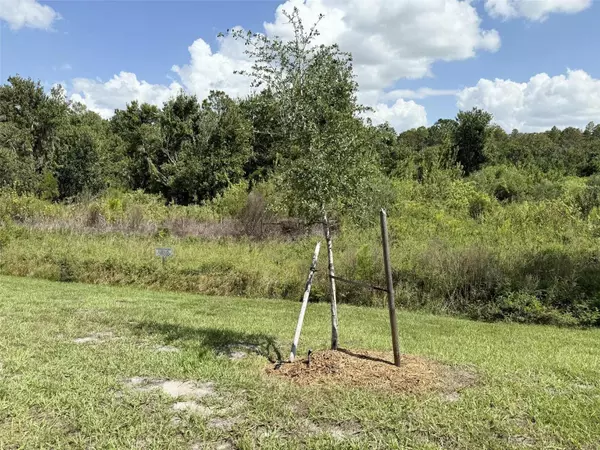 St Cloud, FL 34773,4264 SAGEFIELD DR