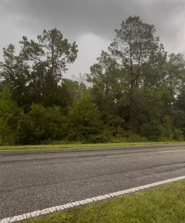 Clermont, FL 34711,COUNTY ROAD 474