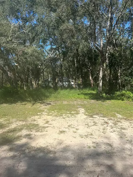 CALAMONDIN ST, Lady Lake, FL 32159