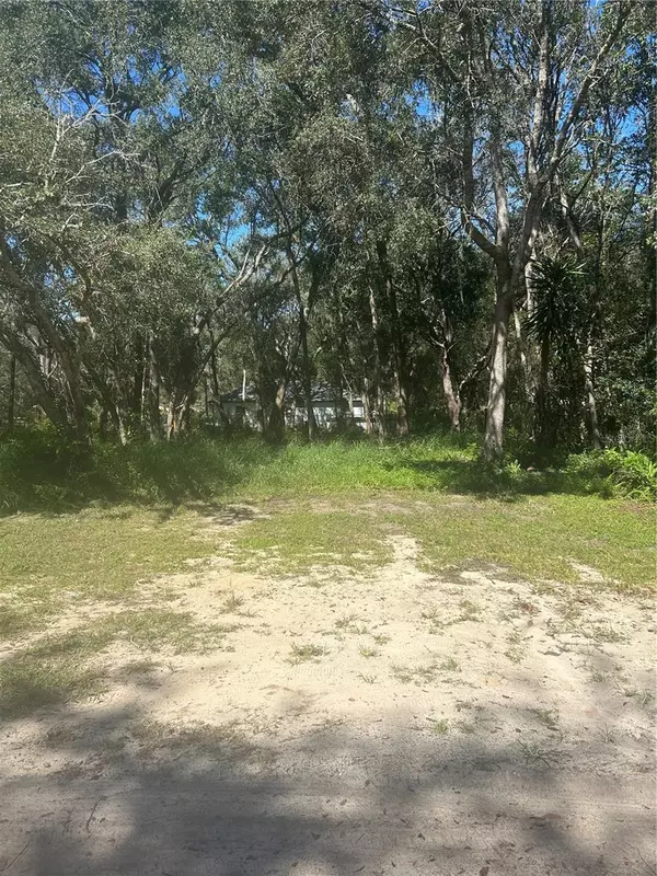 CALAMONDIN ST, Lady Lake, FL 32159