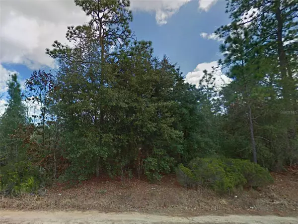 Interlachen, FL 32148,114 DAVE ST