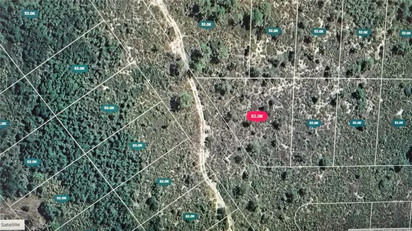 Lake Placid, FL 33852,1400 CHICKADEE ST