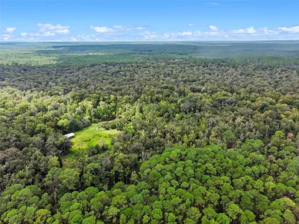 Astor, FL 32102,NFS 73 / ALCO RD