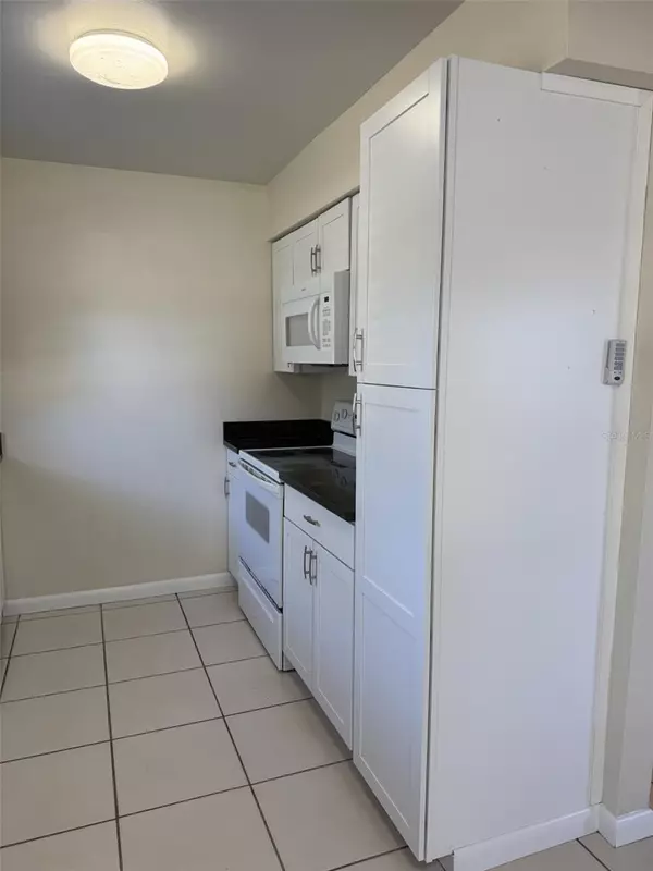 Tavares, FL 32778,1312 NORTH AVE