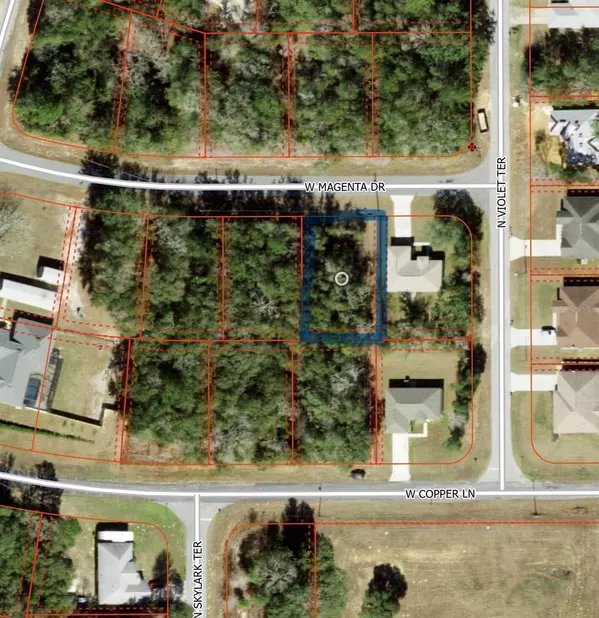 2493 W MAGENTA DR, Citrus Springs, FL 34434