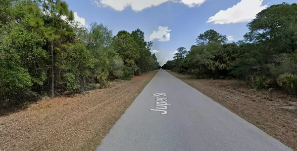 Port Charlotte, FL 33953,377 JUPER ST