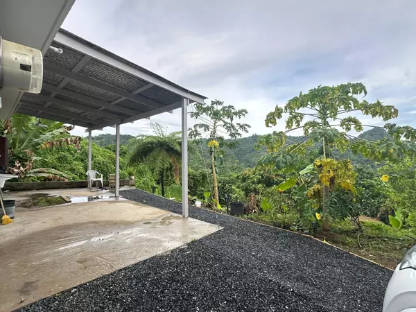 Lares, PR 00669,STATE RD 4131 KM 1.3 INT, LA TORRE WARD