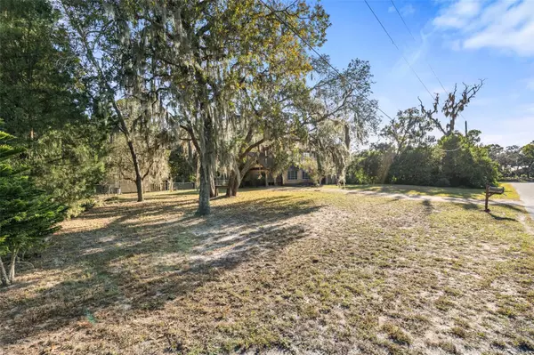 New Port Richey, FL 34654,10534 RABBIT DR