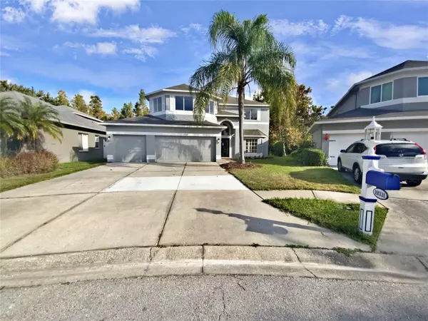 19331 SANDY SPRINGS CIR, Lutz, FL 33558