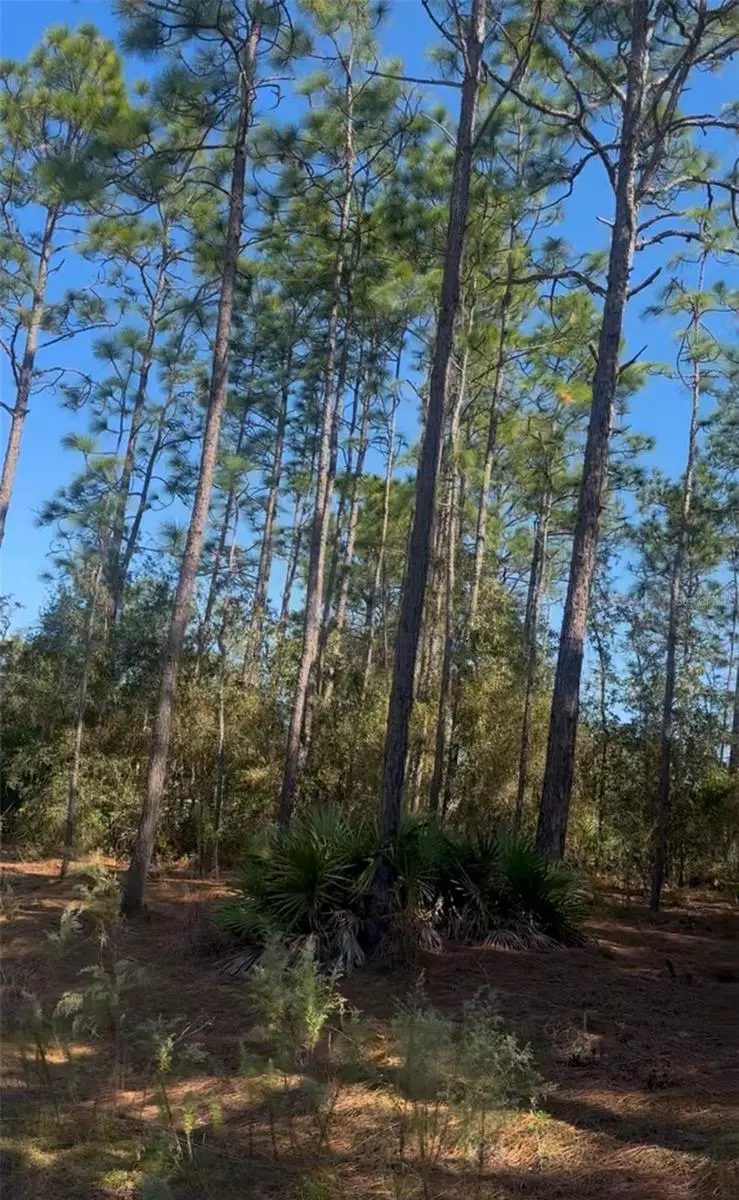 Ocala, FL 34481,SW 128TH TERRACE RD