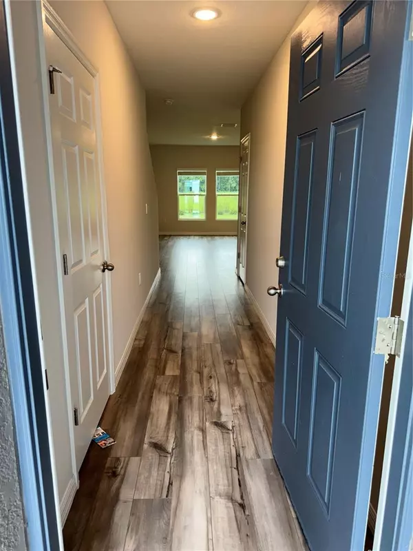 Wesley Chapel, FL 33545,7959 PEACE LILY AVE