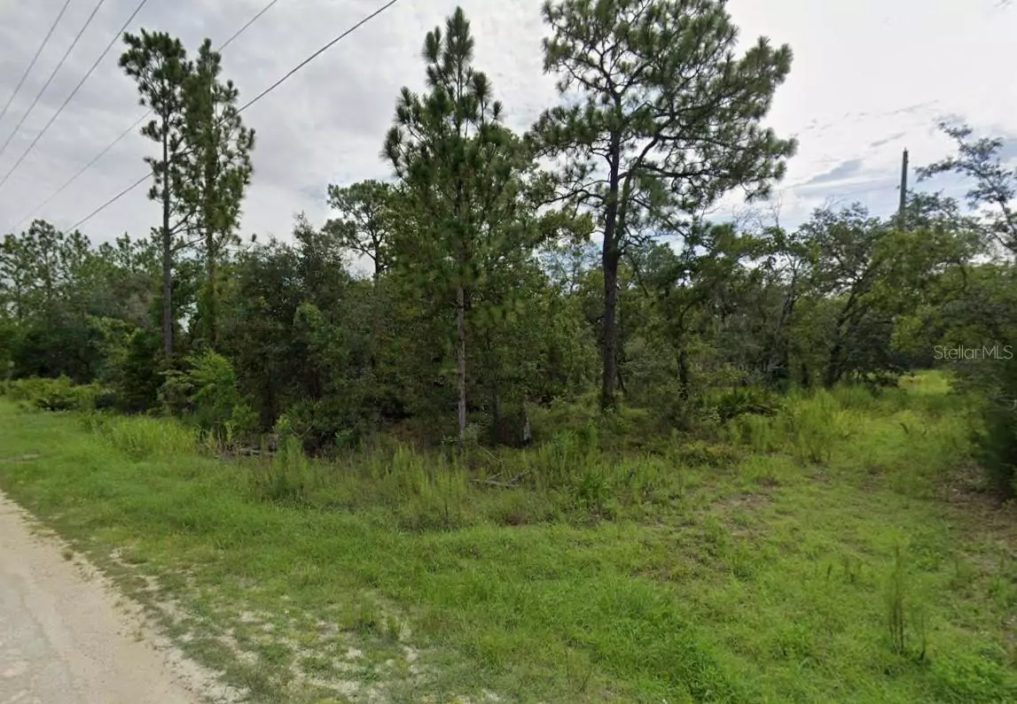 Weeki Wachee, FL 34614,GOLDFINCH RD