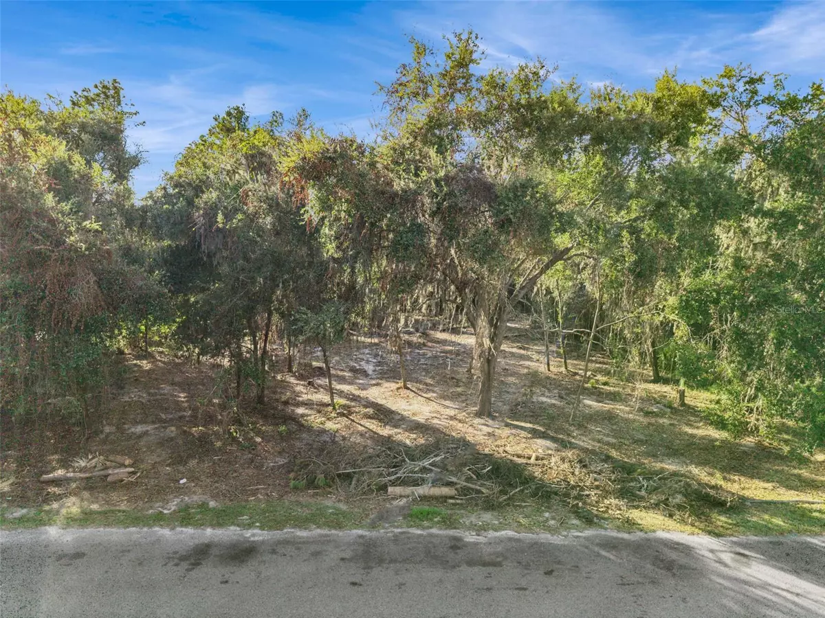 Leesburg, FL 34748,705 NEWELL HILL RD