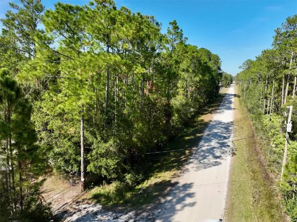 Bunnell, FL 32110,CANDLEBERRY ST