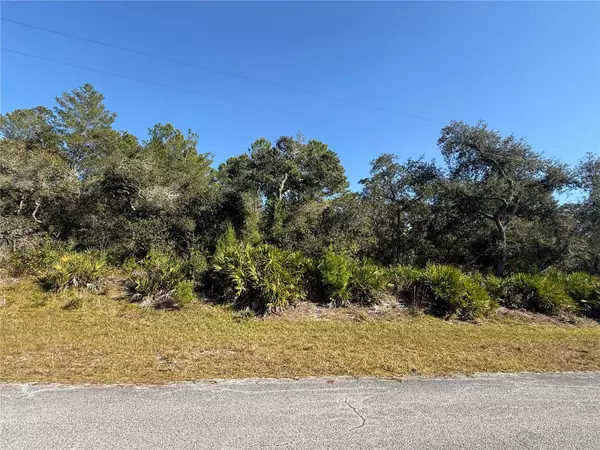 Eustis, FL 32736,LIGUSTRUM ST