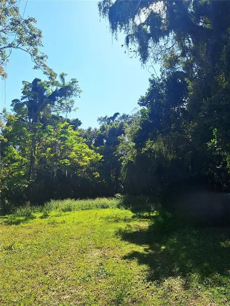 203 E 13TH ST, Apopka, FL 32703