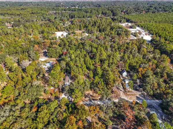 Satsuma, FL 32189,109 LUCAS ST