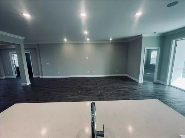 Thonotosassa, FL 33592,10183 WHITE MAGNOLIA SQ