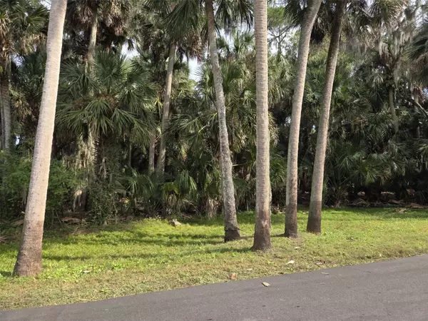 Deltona, FL 32725,447 WARRIOR TRL