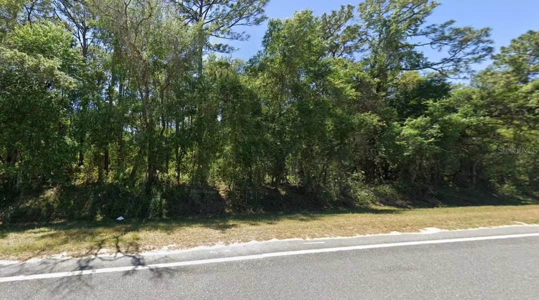 SE 17TH LN, Ocklawaha, FL 32179