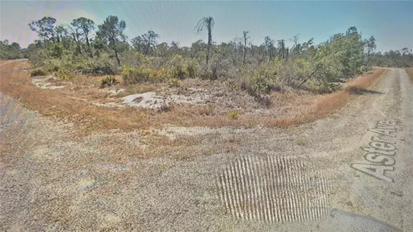 Lake Placid, FL 33852,3138 ASTER AVE