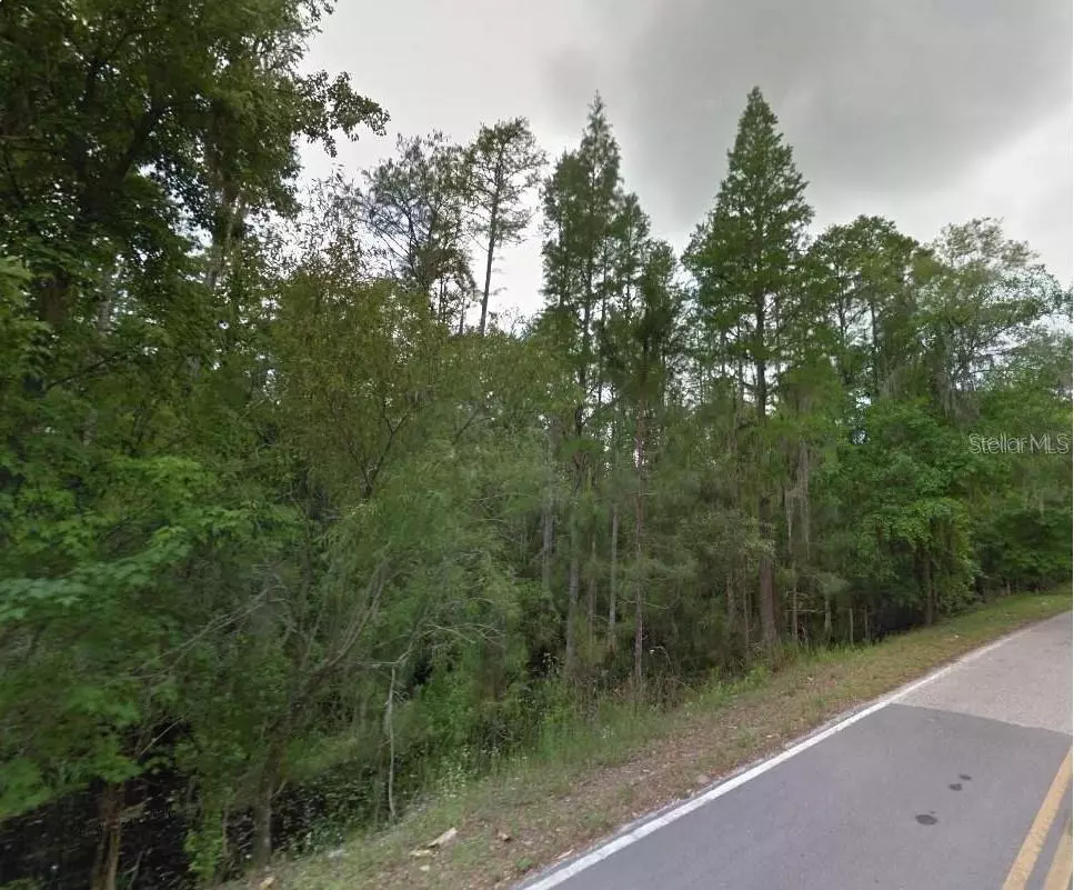 Polk City, FL 33868,0 POYNER RD