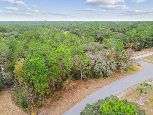 Beverly Hills, FL 34465,3435 W DANNY CT