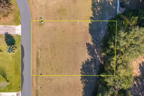 Fruitland Park, FL 34731,1007 MYRTLE BREEZES CT