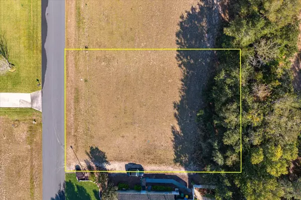 Fruitland Park, FL 34731,1009 MYRTLE BREEZES CT