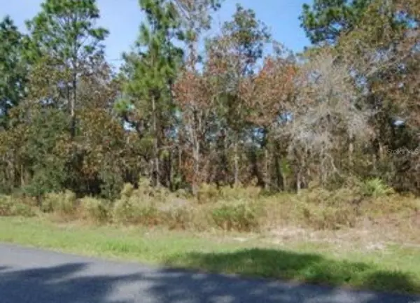 Citrus Springs, FL 34434,2084 W RILEY DR