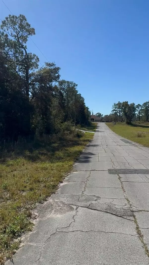 Dunnellon, FL 34433,2988 W SUN PL