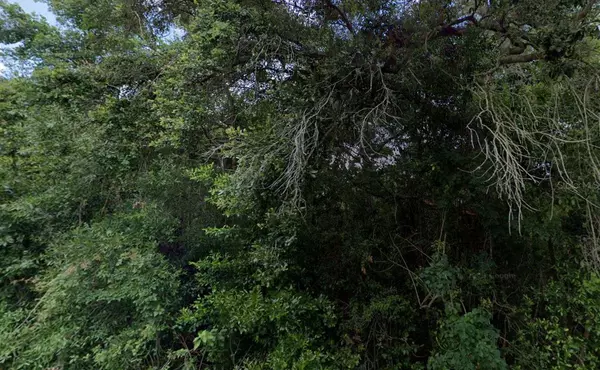 3288/3302 E ALISA LN, Inverness, FL 34453