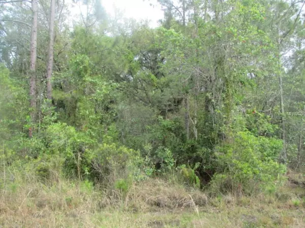 1065 NW 366Th CIR, Okeechobee, FL 34972