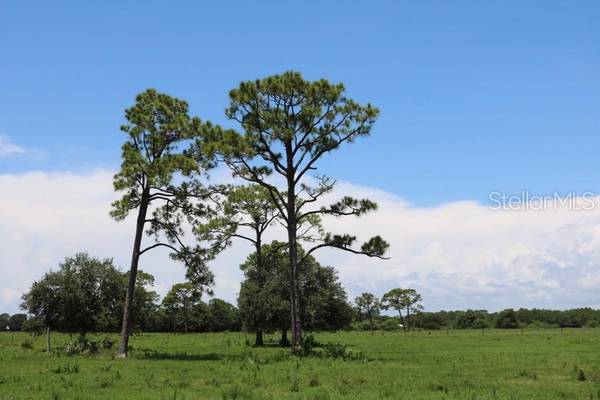 NE 32ND ST, Okeechobee, FL 34972