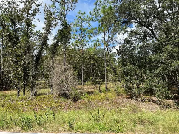 Dunnellon, FL 34431,TBD NW RIDGEWOOD RD