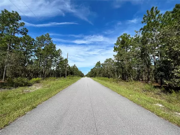 Dunnellon, FL 34431,TBD NW AMBERJACK AVE