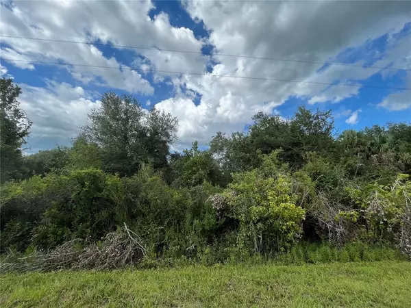 19363 NW 294TH ST, Okeechobee, FL 34972