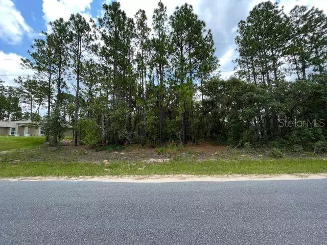 Citrus Springs, FL 34433,3847 W CROSS DR