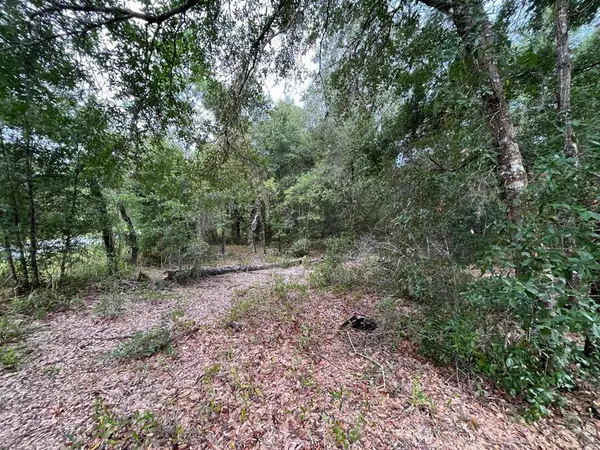 Ocala, FL 34472,TBD OAK LN