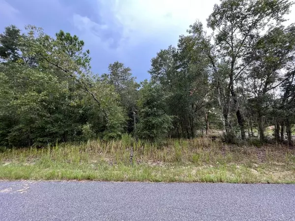 Ocala, FL 34472,TBD OAK LN