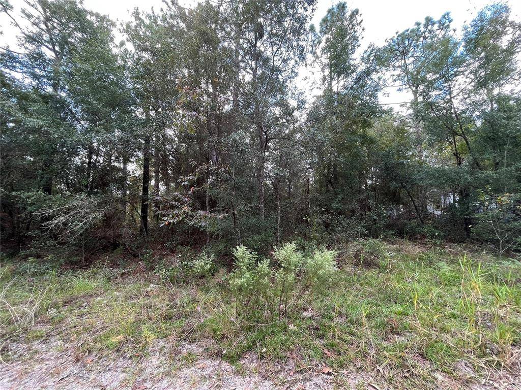 6295 BOWDOIN AVE, Keystone Heights, FL 32656