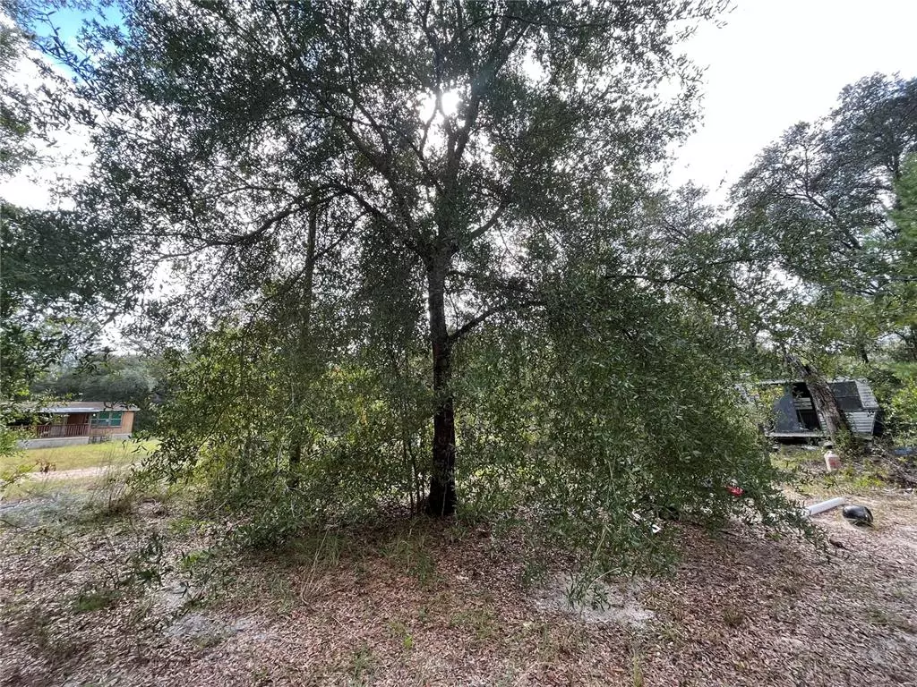 Keystone Heights, FL 32656,6088 CENTER CIR