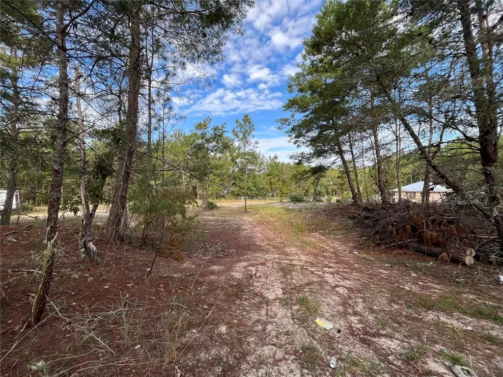 Florahome, FL 32140,116 KENNY LN