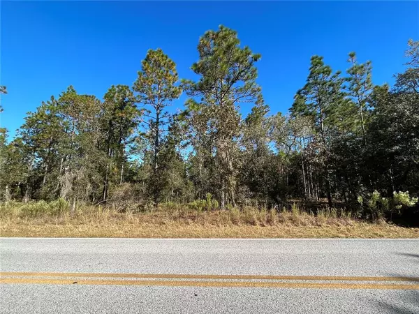 Dunnellon, FL 34431,TBD SEA CLIFF AVE SW