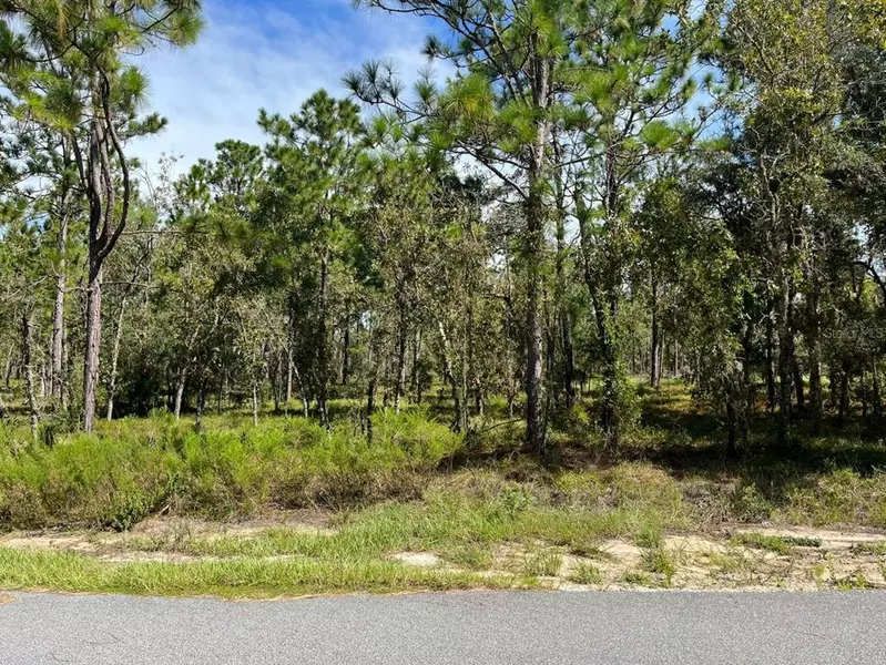 133RD, Dunnellon, FL 34431