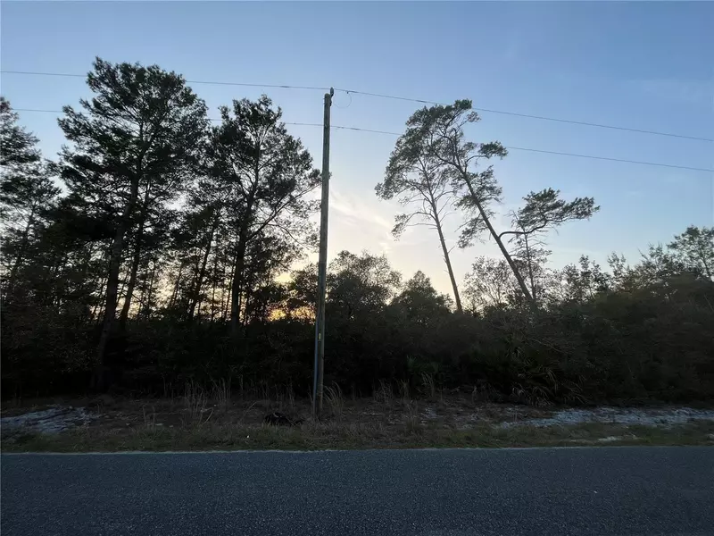 TBD GEORGIA ST, Paisley, FL 32767