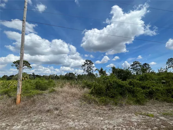 Lehigh Acres, FL 33972,412 MONROE AVE