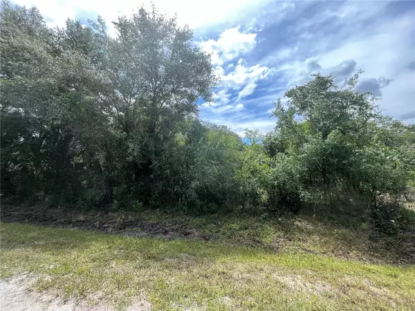 Okeechobee, FL 34972,19414 NW 290TH ST